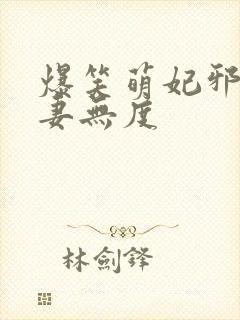 爆笑萌妃邪王宠妻无度