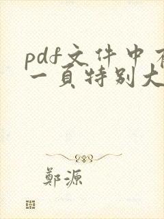 pdf文件中有一页特别大如何调整