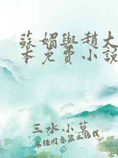 苏媚与赵大宝完本免费小说