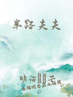 半路夫夫