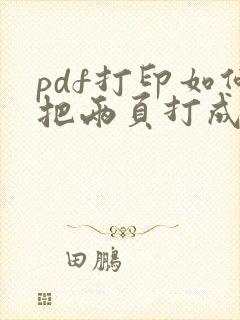 pdf打印如何把两页打成一页