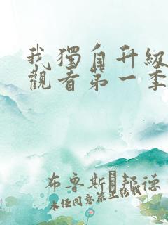 我独自升级在线观看第一季