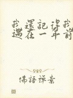 我还记得我们相遇在一年前是什么歌