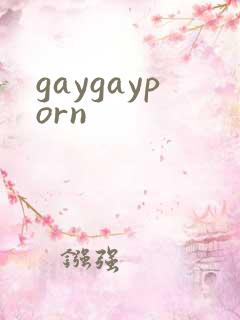 gaygayporn