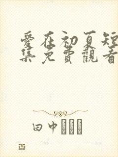 爱在初夏短剧全集免费观看