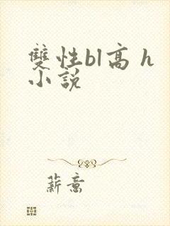 双性bl高 h小说
