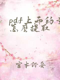 pdf上面的章怎么提取