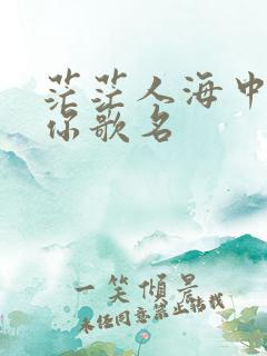茫茫人海中遇见你歌名