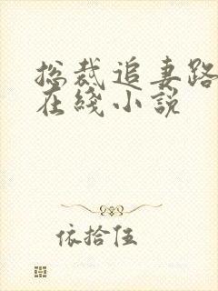 总裁追妻路漫漫在线小说