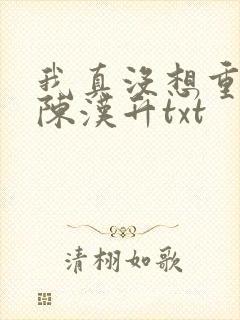 我真没想重生啊陈汉升txt