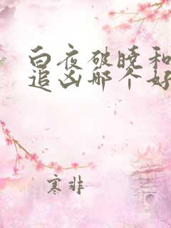白夜破晓和白夜追凶哪个好看