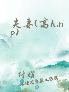 夫妻(高h,np)