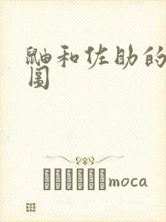 鼬和佐助的奥义图