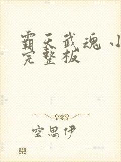 霸天武魂 小说完整板