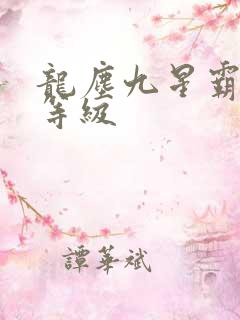 龙尘九星霸体诀等级