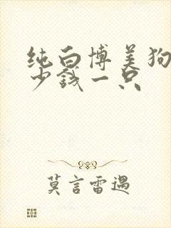 纯白博美狗狗多少钱一只