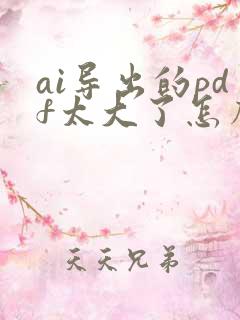 ai导出的pdf太大了怎么办
