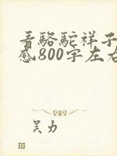 看骆驼祥子读后感800字左右