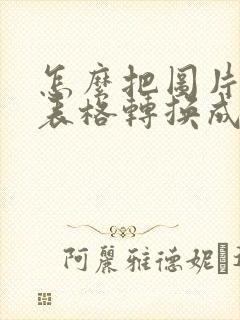 怎么把图片上的表格转换成电子表格