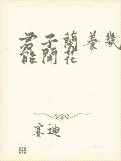 君子兰养几年才能开花