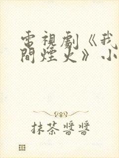 电视剧《我的人间烟火》小说