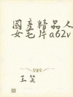 国产精品人妻熟女毛片a62v