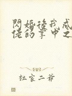 闪婚后我成了大佬的掌中之物未删减