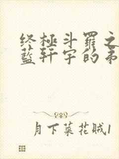 终极斗罗之我是蓝轩宇的弟弟