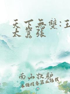 天下无双:王妃太嚣张