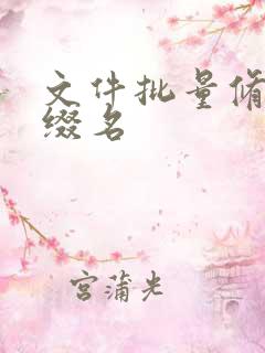 文件批量修改后缀名