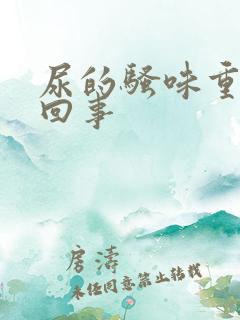尿的骚味重怎么回事