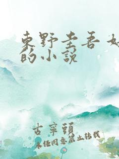 东野圭吾 好看的小说
