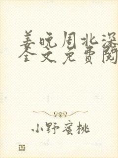 姜晚周北深小说全文免费阅读