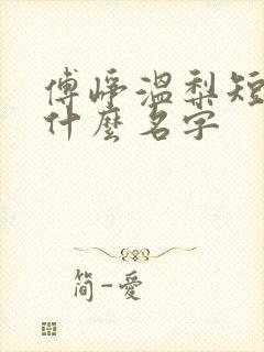 傅峥温梨短剧叫什么名字