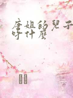 唐姐的儿子我称呼什么