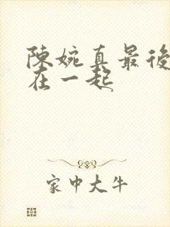 陈婉真最后和谁在一起