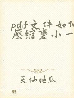 pdf文件如何压缩变小一点