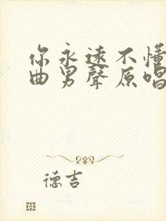 你永远不懂我歌曲男声原唱