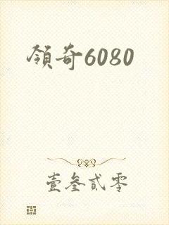领奇6080