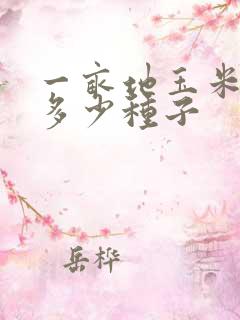 一亩地玉米需要多少种子