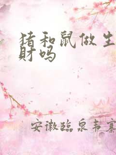 猪和鼠做生意合财吗