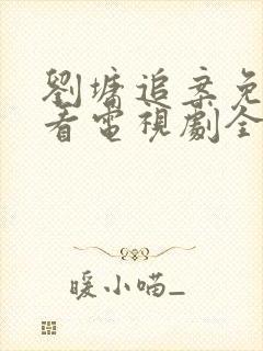 刘墉追案免费观看电视剧全集