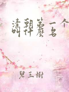 清朝第一个皇上叫什么名