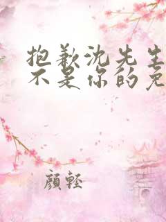 抱歉沈先生孩子不是你的免费