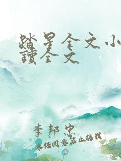 踏星全文小说阅读全文