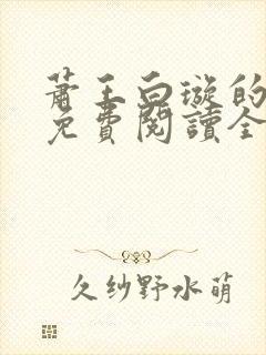 萧王白璇的小说免费阅读全文