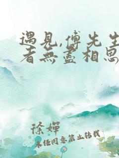 遇见,傅先生作者无尽相思