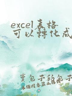 excel表格可以转化成word吗