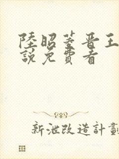 陆昭菱晋王的小说免费看