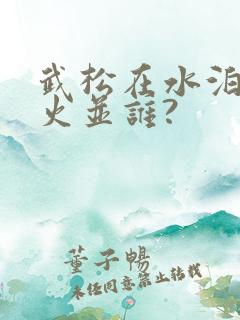 武松在水泊梁山火并谁?